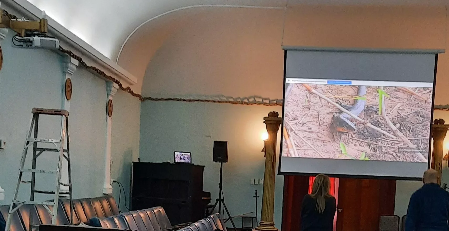 Instalación de proyector en auditorio